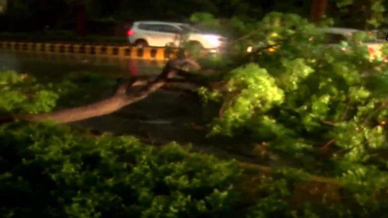 दिल्ली में बारिश और तेज आंधी से कार पर गिरा पेड़ का एक हिस्सा, ट्रैफिक से परेशान लोग