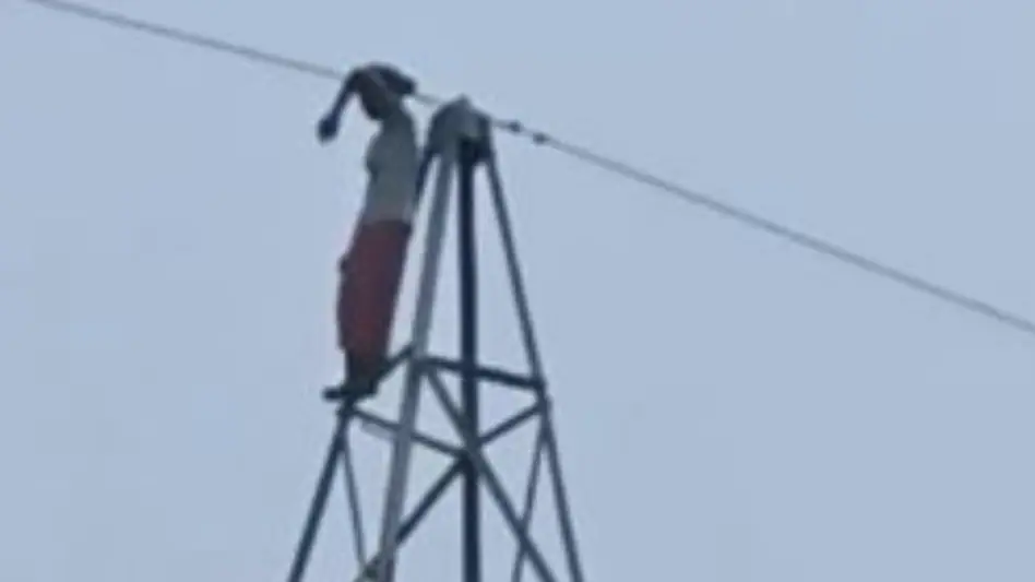 मां की डांट के बाद बिजली के टावर पर चढ़ी 12 साल की बच्ची, फिर हुआ यह…