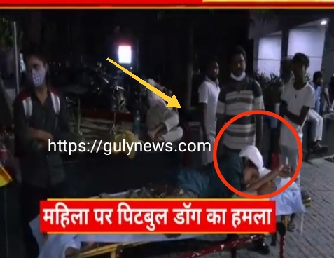 Pit bull attack in Gurugram: पिटबुल डॉग ने किया महिला पर हमला, सिर के मांस तक नोचे