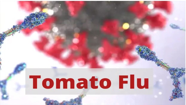 Tomato Flu: बच्चों के सामने बड़ा खतरा, यह है टोमैटो फीवर बीमारी के लक्षण और उपचार