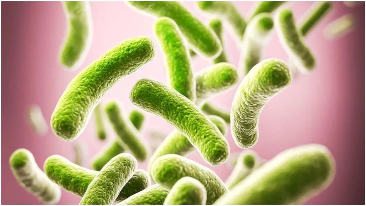 Bacterial infections death: “बैक्टीरियल संक्रमण” दुनियाभर में मौत की दूसरी सबसे बड़ी वजह