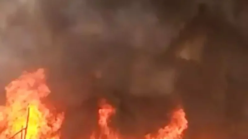 Fire in Sarfabad Village: नोएडा के सर्फाबाद गांव में लगी आग