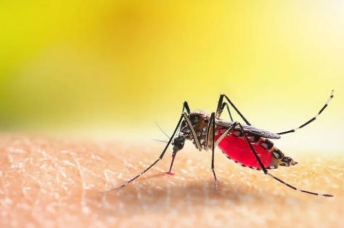 Dengue cases in Noida: इस सोसाइटी में डेंगू का कहर, अचानक बढ़ी मरीजों की संख्या से सभी परेशान