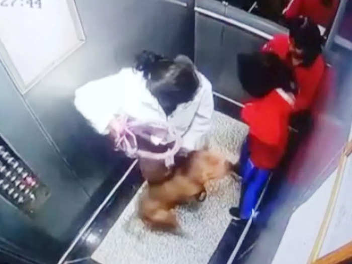 Dog attack in Lift: नोएडा की इस सोसाइटी की लिफ्ट में दो बच्चों पर पेट डॉग का हमला, पुलिस ने दर्ज किया केस