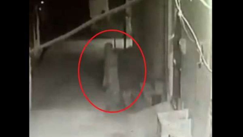 Aligarh Ghost News: भूत का वीडियो हो रहा वायरल, जानें क्या है सच्चाई?