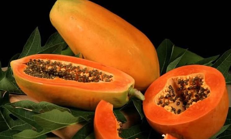 Papaya Benefits:बालों और त्वचा के लिए काफी फायदेमंद, भारत सहित दुनिया भर में खूब खाया जाता है