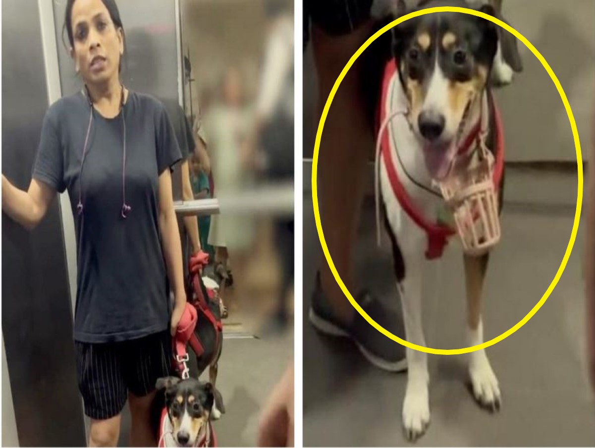 Uproar Over Dog In Lift: तुम्हारी बीवी से बेहतर हूं…, सोसायटी लिफ्ट में कुत्ते को ले जा रही महिला ने कपल से की बहस, सामने आया वीडियो