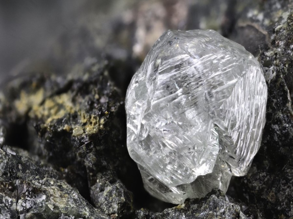 Precious Diamond found: पन्ना की खदान में मिल गया बेशकीमती हीरा, नोएडा के पति-पत्नी की चमकी किस्मत, जानें कीमत