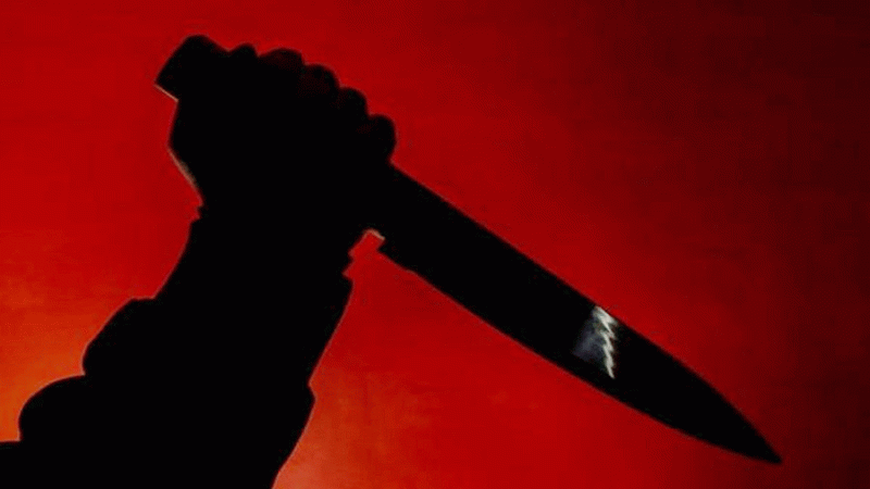 Girl Attacked Father in noida: नोएडा में बेटी ने पिता को मारा चाकू, खुद को गैस से जलाने की कोशिश की