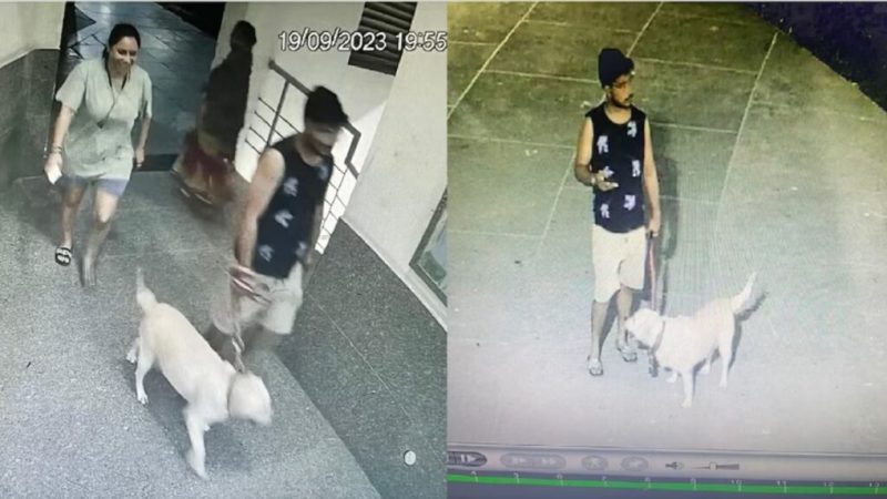 Noida Dog Attack: नोएडा की सोसायटी में ‘डॉग अटैक’…बच्चे को कुत्ते ने काटा