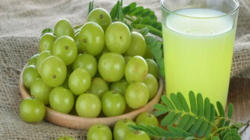 Amla Juice Benefits: खाली पेट पिएं आंवले का जूस, मिलेगा काफी फयदा