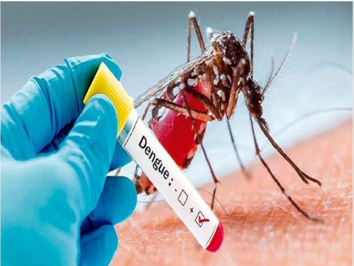 Dengue in Delhi: दिल्ली समेत देश के अन्य हिस्सों में डेंगू का कहर, रिकॉर्ड स्तर पर डेंगू के मामलों में इजाफा