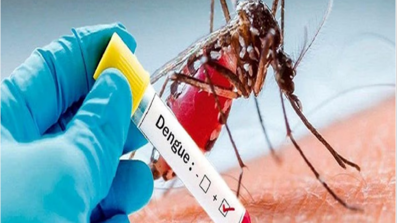 Dengue in Delhi: दिल्ली समेत देश के अन्य हिस्सों में डेंगू का कहर, रिकॉर्ड स्तर पर डेंगू के मामलों में इजाफा