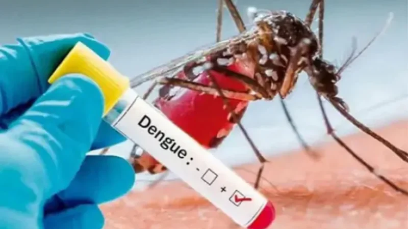 Noida dengue news: हाईराइज सोसायटियों में बढ़ा डेंगू का खतरा, लोगों ने मलेरिया विभाग पर लगाए गंभीर आरोप