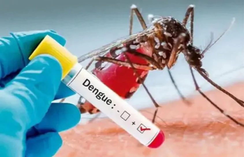 Noida dengue news: हाईराइज सोसायटियों में बढ़ा डेंगू का खतरा, लोगों ने मलेरिया विभाग पर लगाए गंभीर आरोप