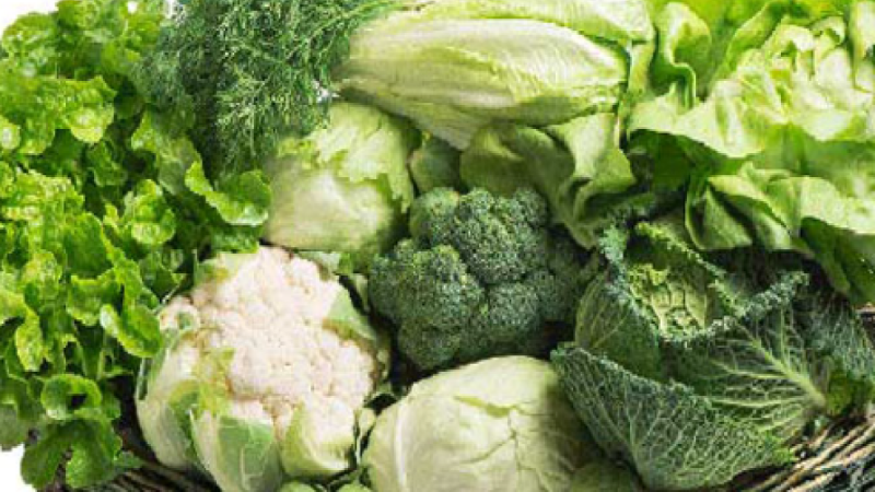 Noida News: कड़ाके की ठंड में हरी सब्जियों के बढ़े दाम