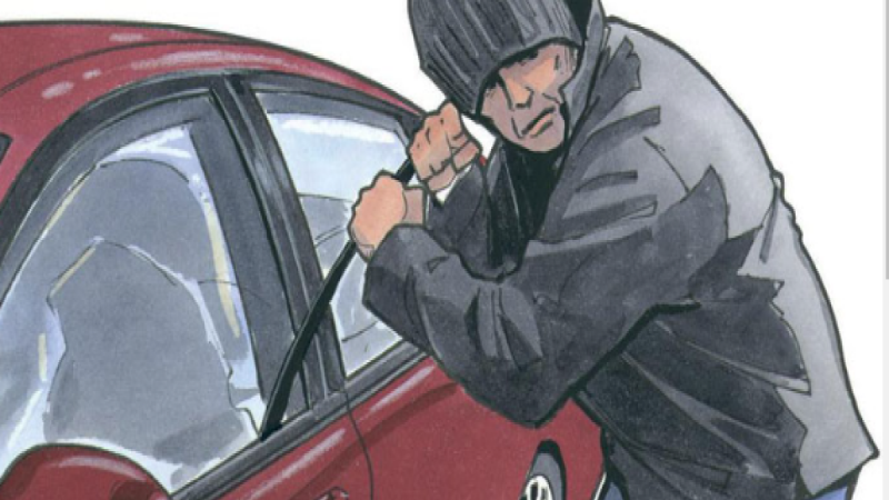 Noida News: मल्टीलेवल पार्किंग में बने यार्ड से दो कार की हुई चोरी, तलाश में जुटी पुलिस