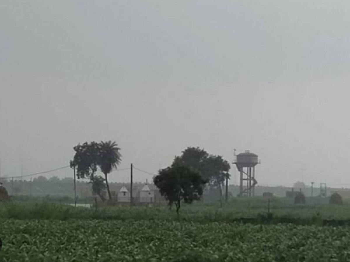 Greater Noida News: बिल्डर ने की किसानों की जमीन पर कब्जे की कोशिश, जानें पूरी खबर