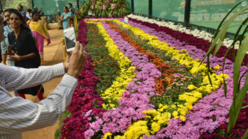 Flower Show in Noida: फ्लावर शो में एक करोड़ से ज्यादा के फूल, पौधे और गमलों की बिक्री, विदेशी फूल रहे सबकी पसंद