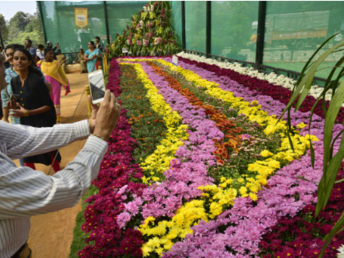 Flower Show In Greater Noida: ग्रेटर नोएडा में लीजिए मुगल गार्डन का मजा, इन तीन दिनों में बच्चों के साथ उठायें लुफ्त