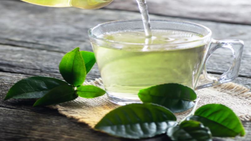 Green Tea Benefits: कई बीमारियों को दूर करती है ग्रीन टी, जानिए क्या कहते हैं  डाइटीशियन