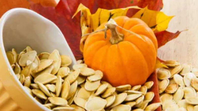 Pumpkin Seeds Benefits: रोजाना 2 चम्मच खाएं कद्दू के बीज, हार्ट से लेकर बालों तक को बनाएं हेल्दी