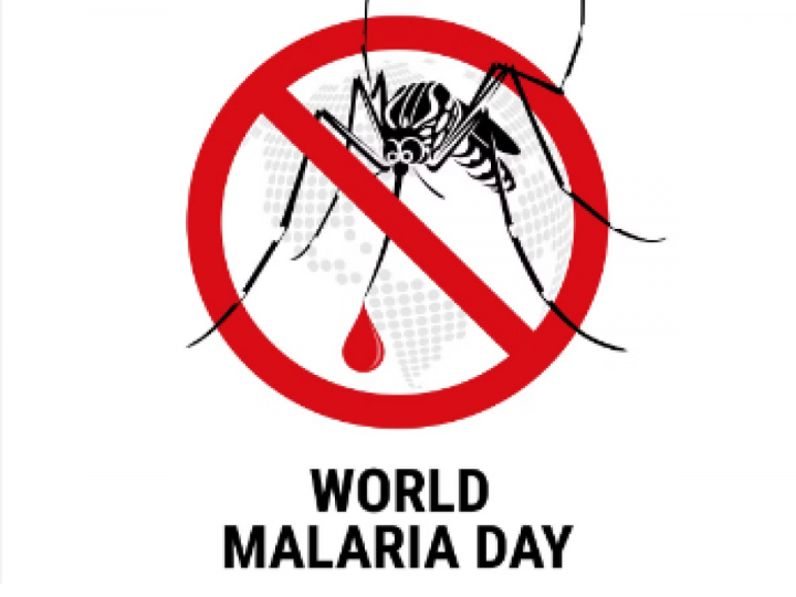 World Malaria Day 2024:  मलेरिया होने पर चाहते हैं जल्द रिकवरी, इन चीज़ों से करें परहेज