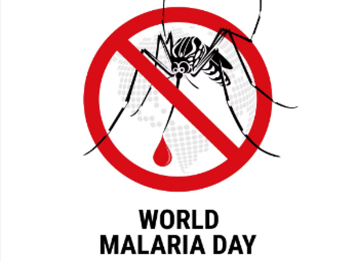 World Malaria Day 2024:  मलेरिया होने पर चाहते हैं जल्द रिकवरी, इन चीज़ों से करें परहेज