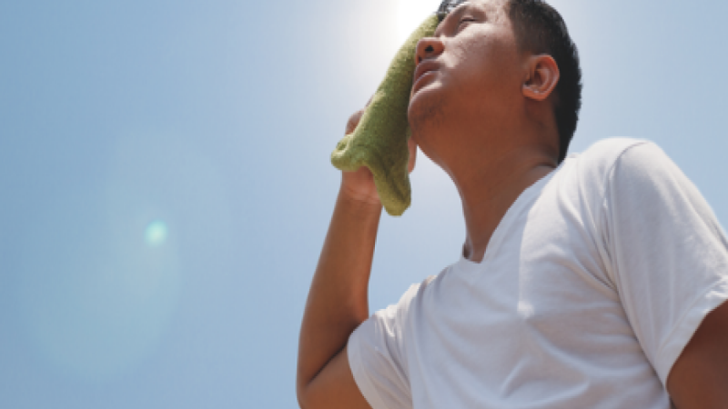 Heat Stroke News: फिल्ड वर्क वाले ध्यान दें! गर्मी  से जीना हुआ मुहाल, हीट स्ट्रोक के मिले पांच मरीज