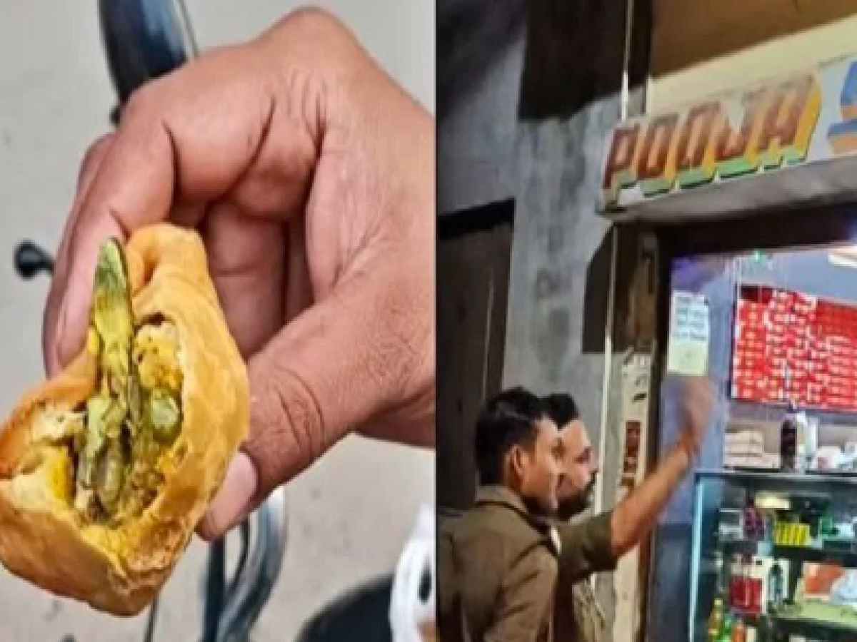 Lizard in Samosa: समोसे में निकली छिपकली, मच गया हड़कंप…उल्टी करके हालत हुई खराब