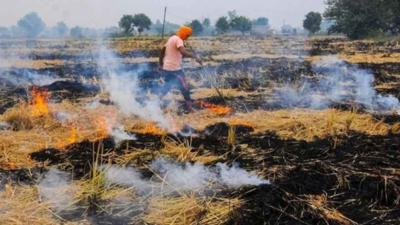 Stubble burning :- मानसून के विदा होने से पहले ही जलने लगी परालियां, आने वाले समय में बढ़ेगा असर